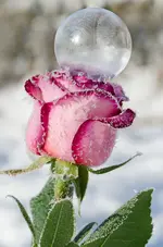 45555565-0175.webp