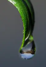 ei12-0021.webp
