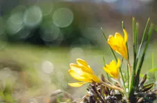 ei1234567-0023.webp