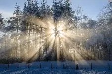 145-0083.webp