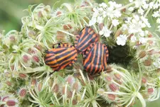 DSCF9591 (2).webp
