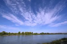 Donaublick.webp