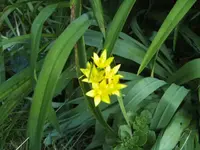 BILD6821.JPG