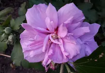 20170722_091133.webp