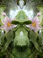 B30.webp