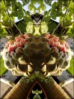 B31.webp