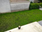 IMG_20170723_140100.jpg