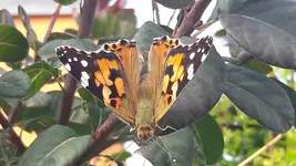 20170722_154412.webp