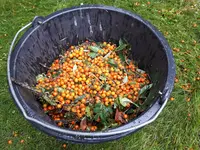 20170724_173339.webp
