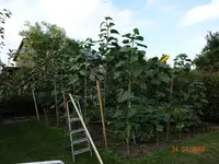 DSC01148.webp