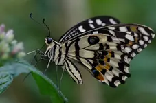 888891-0090.jpg