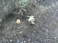 BILD7725.webp