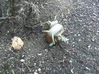 BILD7727.webp