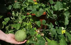 20170709_144450.webp