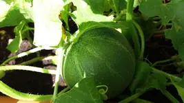 20170709_144531.2.webp