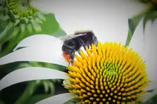 DSCF9624 (2).webp