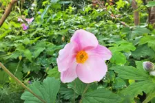 DSCF9576 (2).webp