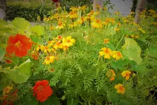 DSCF9582 (2).webp