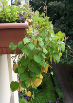 20170725_124646-1.webp