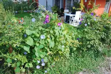Unsere Winde.webp