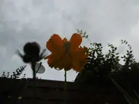 P1010467.webp