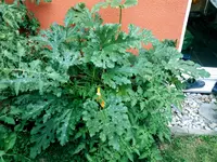 20170723_194934.2.webp