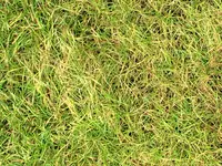 IMG_6254.webp