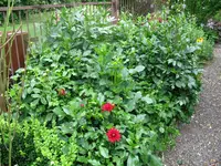 IMG_5650.webp