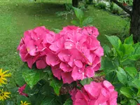 IMG_5649.webp