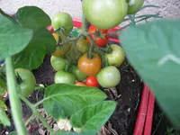 IMG_5663.webp