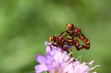 IMG_8463a.webp