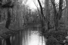 IMG_9942sw.jpg