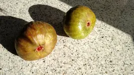 IMG_20170725_175402534.webp