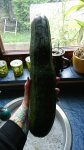 _20170726_093037.jpg