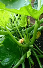 _20170726_100042.webp