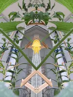 F011.webp