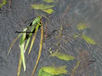 P1010133.webp