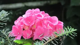 IMG_7588.webp