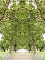 F012.webp