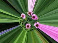 IMG_2137.webp