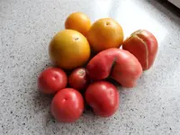 DSC01237.webp