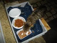 IMGP5097.webp
