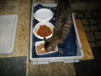 IMGP5098.webp