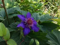 20170726_174937.webp
