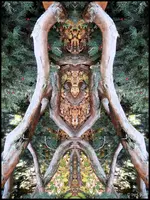 F014.webp
