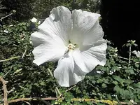 DSCI1896.webp