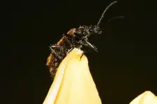 12345678-0072.jpg