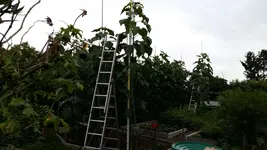 15011797049761919815038.webp
