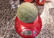 20170727_202921.2.webp