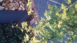 20170727_212816.webp